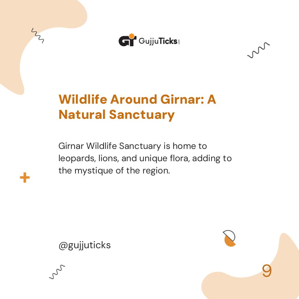 Wildlife Around Girnar: A Natural Sanctuary